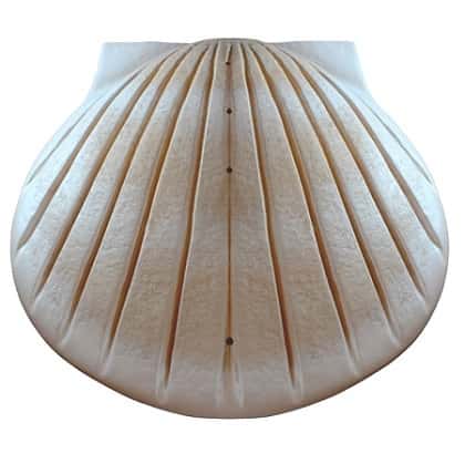 Pearl Shell Biodegradable Urn