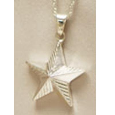 Silver Military Star Urn Necklace