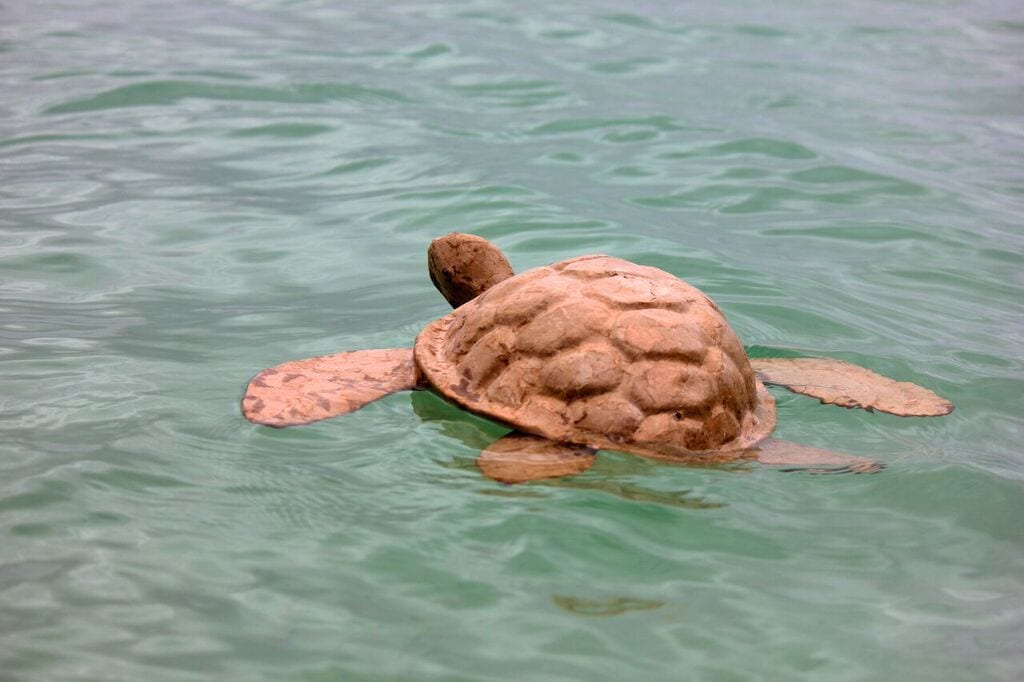 Biodegradable Sea Turtle Urn