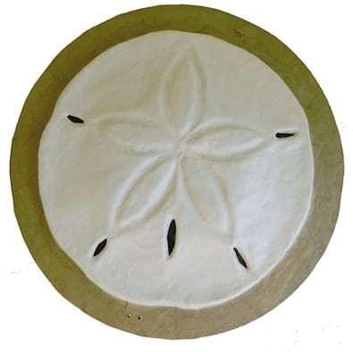 Biodegradable Sand Dollar Urn