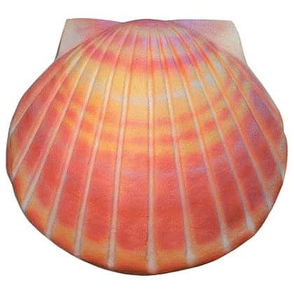 Shell Biodegradable Urn Coral