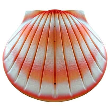 Shell Biodegradable Urn Coral
