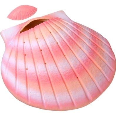 Shell Biodegradable Urn Coral