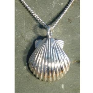Shell Urn Necklace