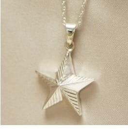 Silver Military Star Urn Necklace