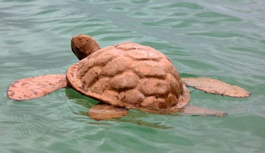 Biodegradable Sea Turtle Urn